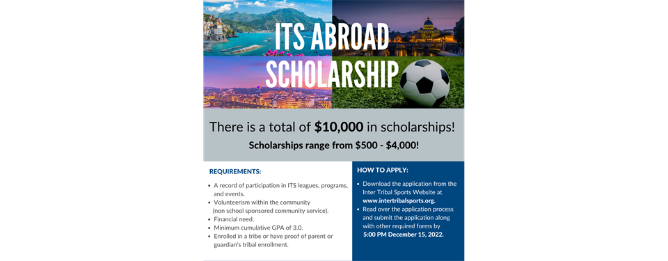 ITS Abroad Program Scholarship 